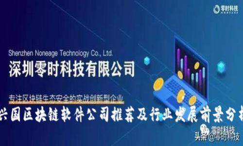 兴国区块链软件公司推荐及行业发展前景分析