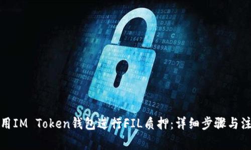 如何使用IM Token钱包进行FIL质押:详细步骤与注意事项