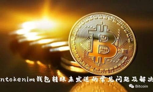 Tokentokenim钱包转账未发送的常见问题及解决方案