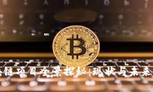 阳泉区块链项目全景探秘:现状与未来发展趋势