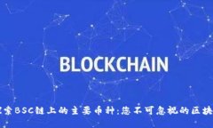 深入探索BSC链上的主要币