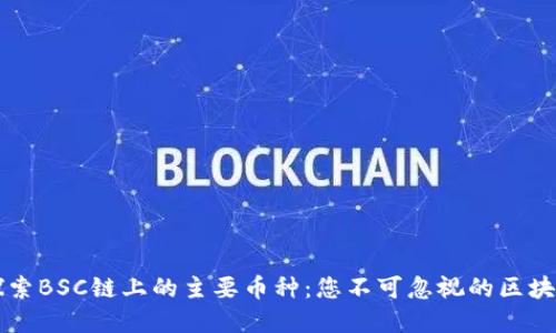 深入探索BSC链上的主要币种:您不可忽视的区块链资产