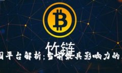区块链中国平台解析：当