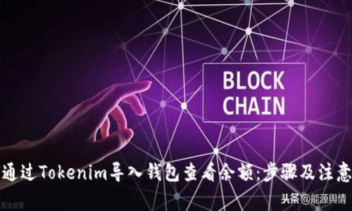 如何通过Tokenim导入钱包查看余额:步骤及注意事项