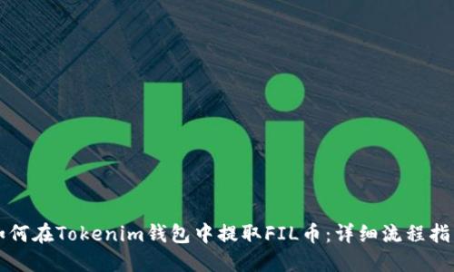 如何在Tokenim钱包中提取FIL币:详细流程指南