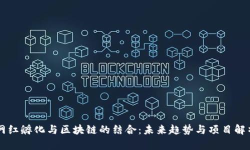 网红孵化与区块链的结合:未来趋势与项目解析