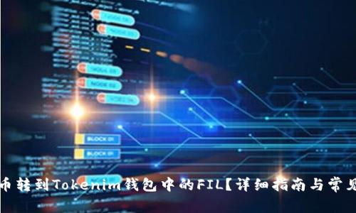 如何将货币转到Tokenim钱包中的FIL?详细指南与常见问题解答