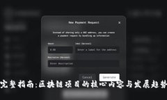 完整指南：区块链项目的