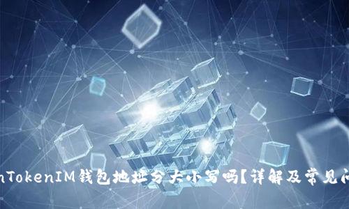 : TokenTokenIM钱包地址分大小写吗?详解及常见问题解答
