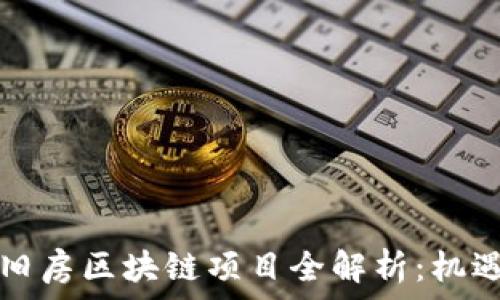 西安旧房区块链项目全解析:机遇与挑战