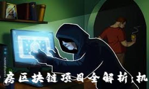 西安旧房区块链项目全解析:机遇与挑战