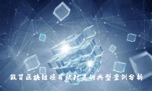 假冒区块链项目被封杀的典型案例分析
