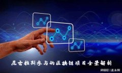 尼古拉斯参与的区块链项