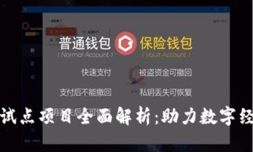 全国区块链试点项目全面解析:助力数字经济的新引擎
