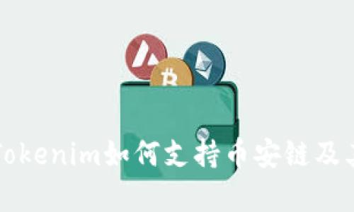 深入了解Tokenim如何支持币安链及其应用前景