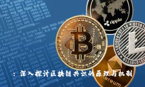 : 深入探讨区块链共识的原理与机制