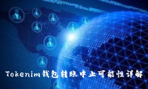 Tokenim钱包转账中止可能性详解