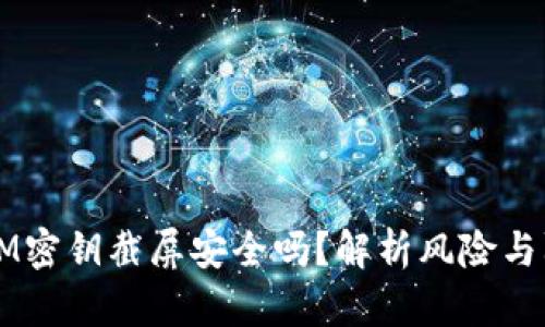  TokenIM密钥截屏安全吗？解析风险与防范措施