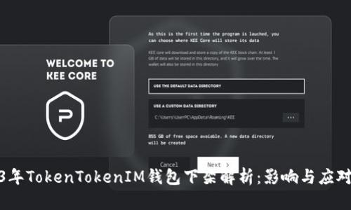 2023年TokenTokenIM钱包下架解析:影响与应对策略