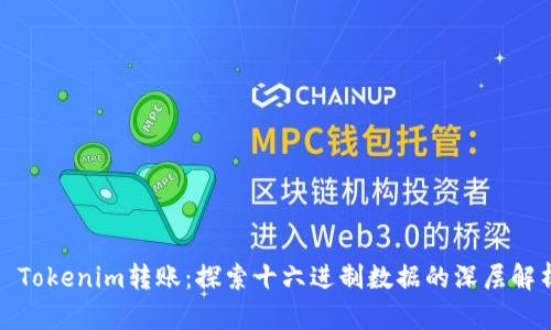 : Tokenim转账:探索十六进制数据的深层解析