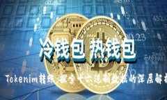 : Tokenim转账：探索十六进