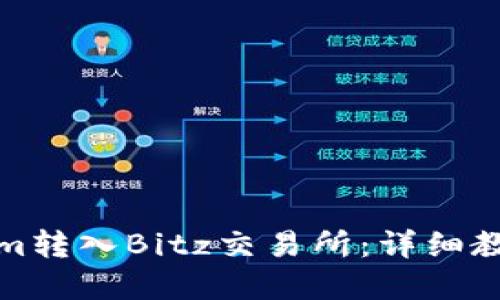 如何将Tokenim转入Bitz交易所:详细教程与实用技巧