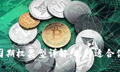 : 区块链公司期权类型详解:选择适合你的投资策略