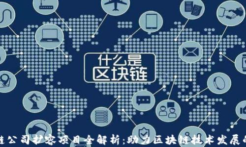 区块链公司扩容项目全解析:助力区块链技术发展的关键