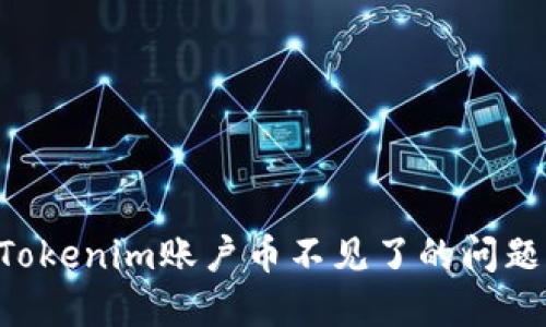 如何解决Tokenim账户币不见了的问题:全面指南