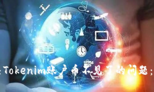如何解决Tokenim账户币不见了的问题:全面指南