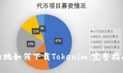 在中国内地如何下载Toke