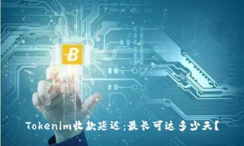 Tokenim收款延迟:最长可达多少天?