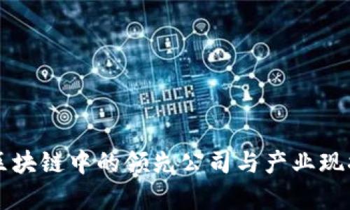 正统区块链中的领先公司与产业现状分析