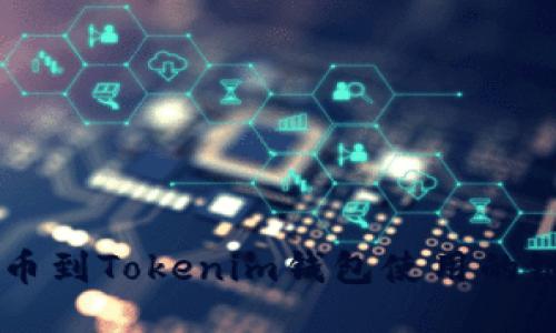 HT提币到Tokenim钱包使用的链介绍