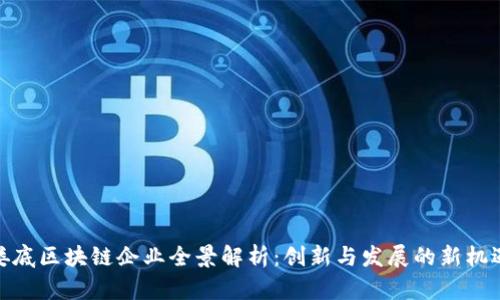 娄底区块链企业全景解析:创新与发展的新机遇