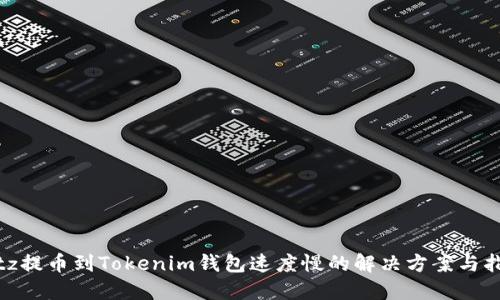 bitz提币到Tokenim钱包速度慢的解决方案与指南