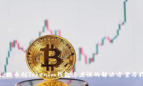 bitz提币到Tokenim钱包速度慢的解决方案与指南
