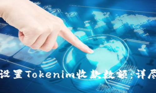 如何设置Tokenim收款数额:详尽指南