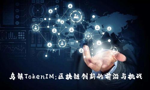 乌镇TokenIM:区块链创新的前沿与挑战