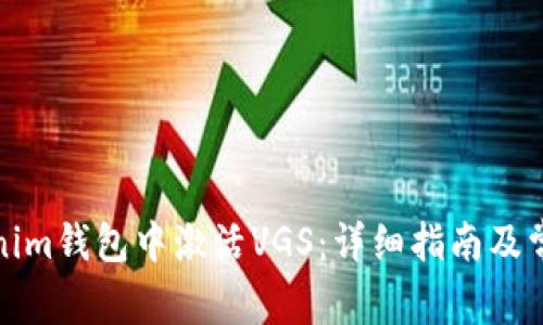 如何在Tokenim钱包中激活VGS:详细指南及常见问题解答
