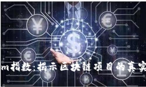 深入解析Tokenim指数:揭示区块链项目的真实价值与投资潜力
