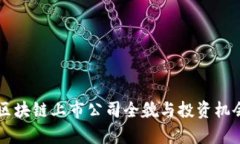 韩国区块链上市公司全貌