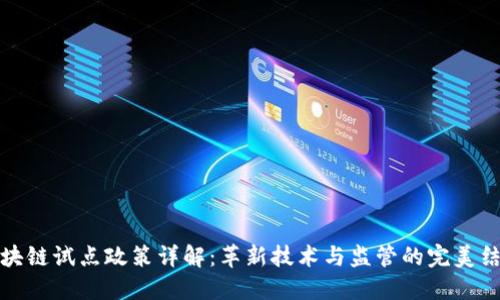 区块链试点政策详解:革新技术与监管的完美结合
