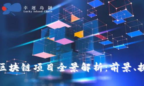 宁波建设区块链项目全景解析:前景、挑战与机遇