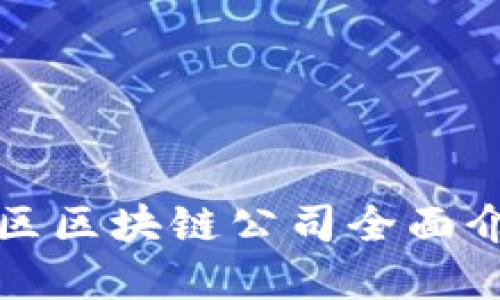 ### 北海新区区块链公司全面介绍及发展现状