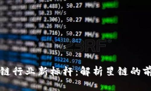 星链区块链行业新标杆:解析星链的前景与影响