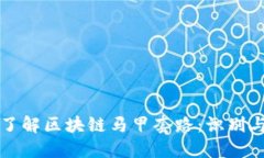 深入了解区块链马甲套路