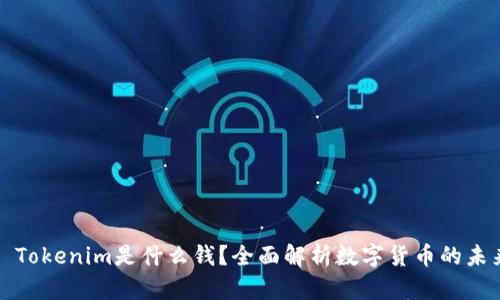### Tokenim是什么钱?全面解析数字货币的未来趋势