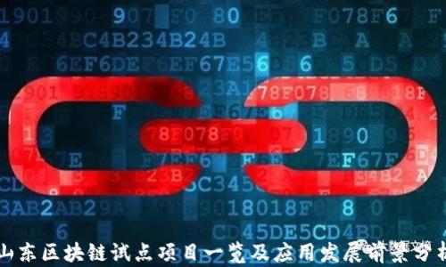 山东区块链试点项目一览及应用发展前景分析