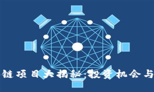 示例
庐山区块链项目大揭秘:投资机会与前景分析
